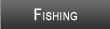 Lake Powell Fishing